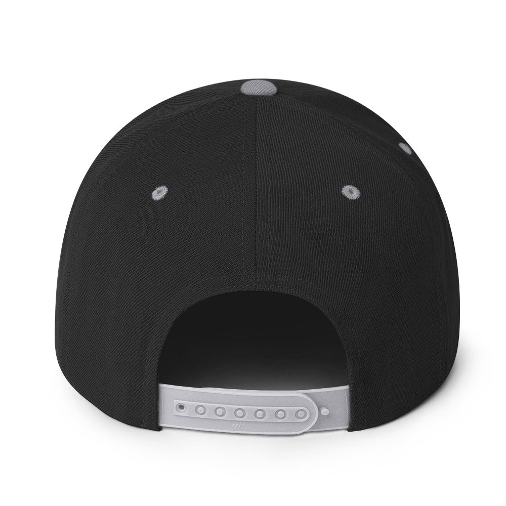 Embroidered Snapback Baseball Cap - white logo v2