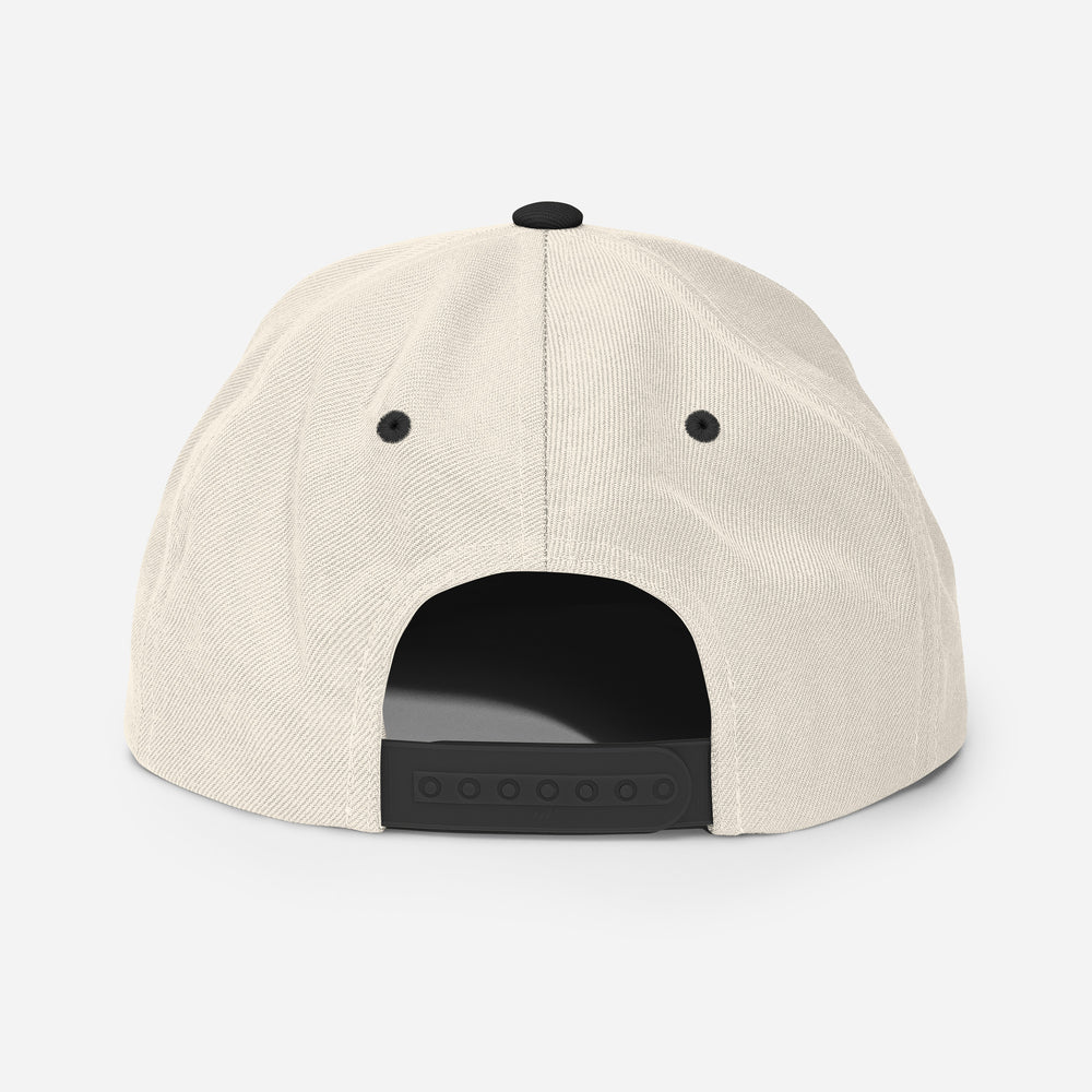 Embroidered Snapback Baseball Cap - white logo v1